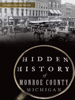 cover image of Hidden History of Monroe County, Michigan